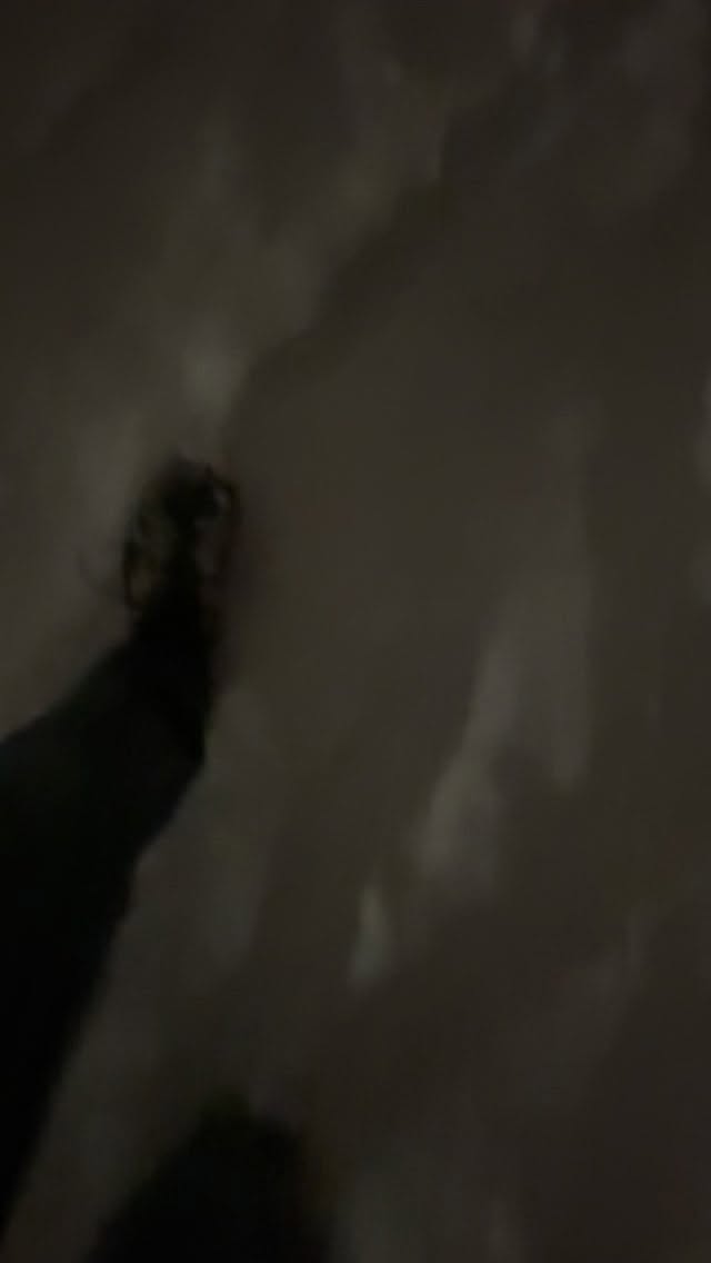 Natur genießen. Stärkt, beruhigt, macht zufrieden.
#schnee #sventeuber #trier #bayern #wanderlust