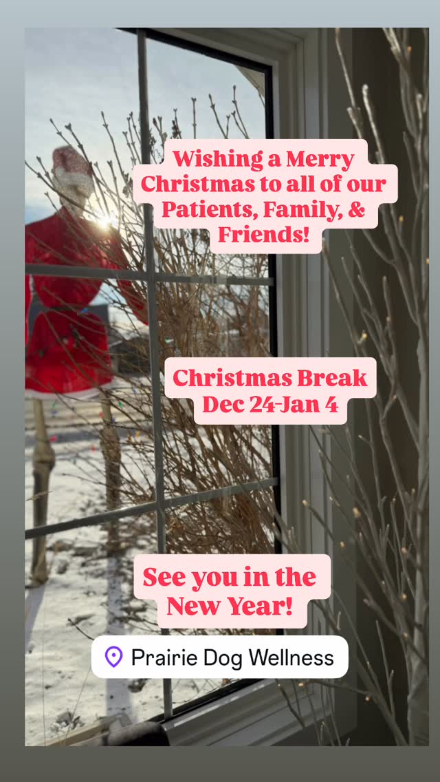 Merry Christmas & Happy New Year! We will return on Monday January 5th. ๐