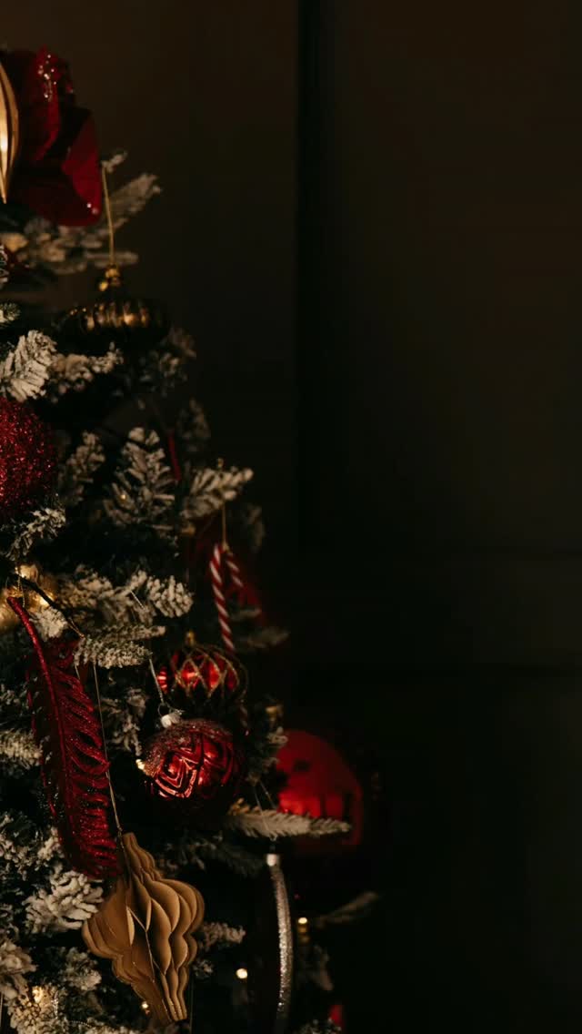 Happy Holidays! ✨️💖☃️🎄
#happyholıdays #ottawa