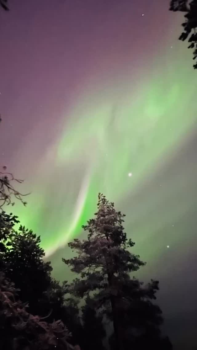 Snowglow’s Aurora tour was blessed with a breathtaking Northern Lights display 💚
Wishing everyone a Merry Christmas and magical nights!