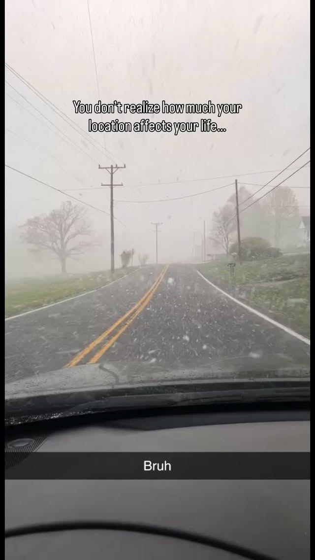 POV: you move to Florida 🍊
#florida #tampa #sun #weather