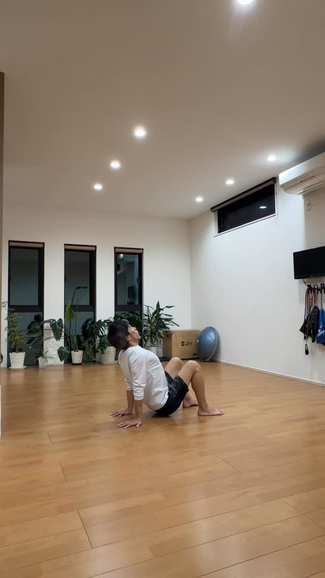 Christmas night flow🎄
my body is warm.
#animalflow
#animalflowofficial
#animalflowjapan
#アニマルフロー
#福山アニマルフロー