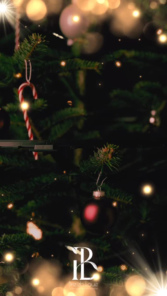 🎄Résultat du concours de Noël 🎄
Bravo à @steller_szn qui remporte la couronne de Noël confectionnée par Alexandrine @breizhloue__fleurs
Nous profitons de ce post pour souhaitez à tous un très Joyeux Noël 🎁