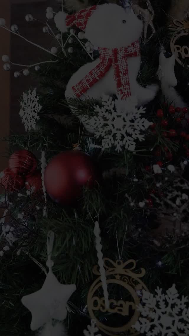 La Navidad ya pasó… pero el año todavía no se acaba.
Queda pendiente el último brindis del año. Prepárate para recibirlo como se merece y sigue brindando con nosotros.
#eljefeluis #tequila #fiestasdecembrinas #regalos #forjamosgrandeza