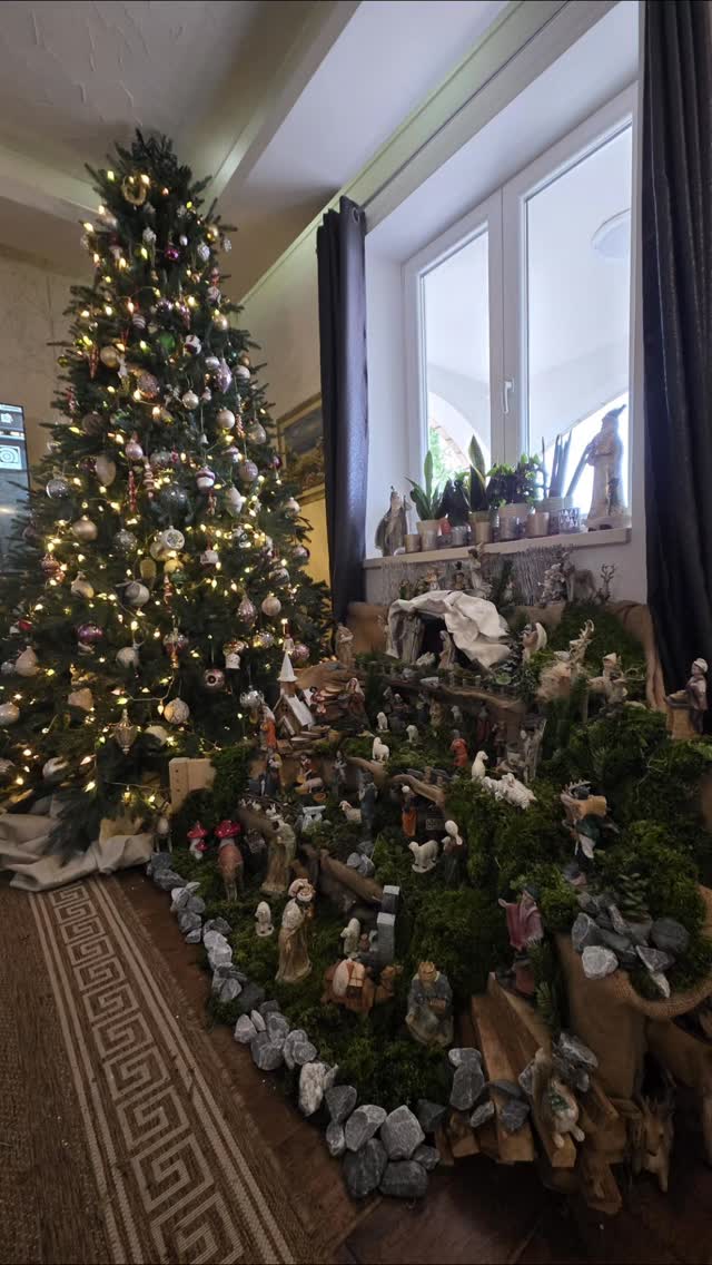 Sretan i blagoslovljen Božić , nek mir i ljubav budu u vašim srcima !#christmas #christmastree #christmasiscoming #bozic