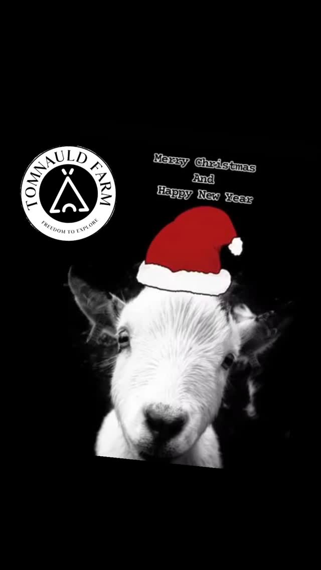 We want to wish all our friends, family and lovely guests a very Merry Christmas 🎄🎁
#glamping #pitlochry #farmstays
#perthshire
#hobbyfarm