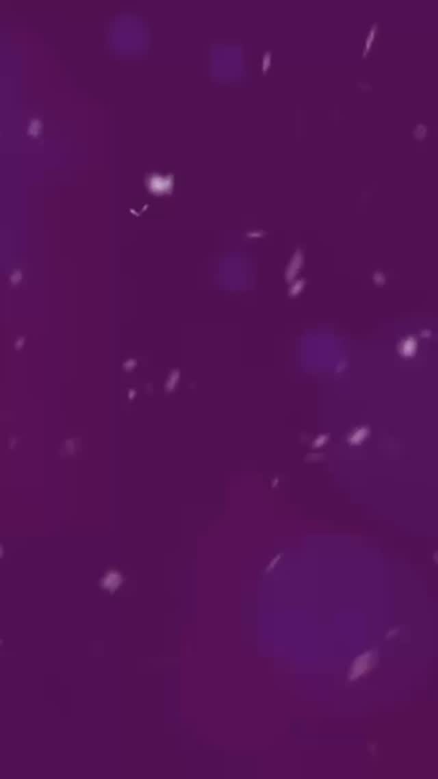 🎄 Joyeux Noël et joyeuses fêtes !
À tous nos membres, familles et amis : merci d’être au cœur de notre grande communauté. Que cette période des fêtes vous apporte bonheur, repos et de beaux moments avec vos proches.💜💜💜
🎄 Merry Christmas and Happy Holidays!
To all our members, families, and friends: thank you for being at the heart of our community. Wishing you joy, rest, and wonderful moments with the people you love. 💜💜💜
#fclaval #communauté #lavalispurple 💜💜💜