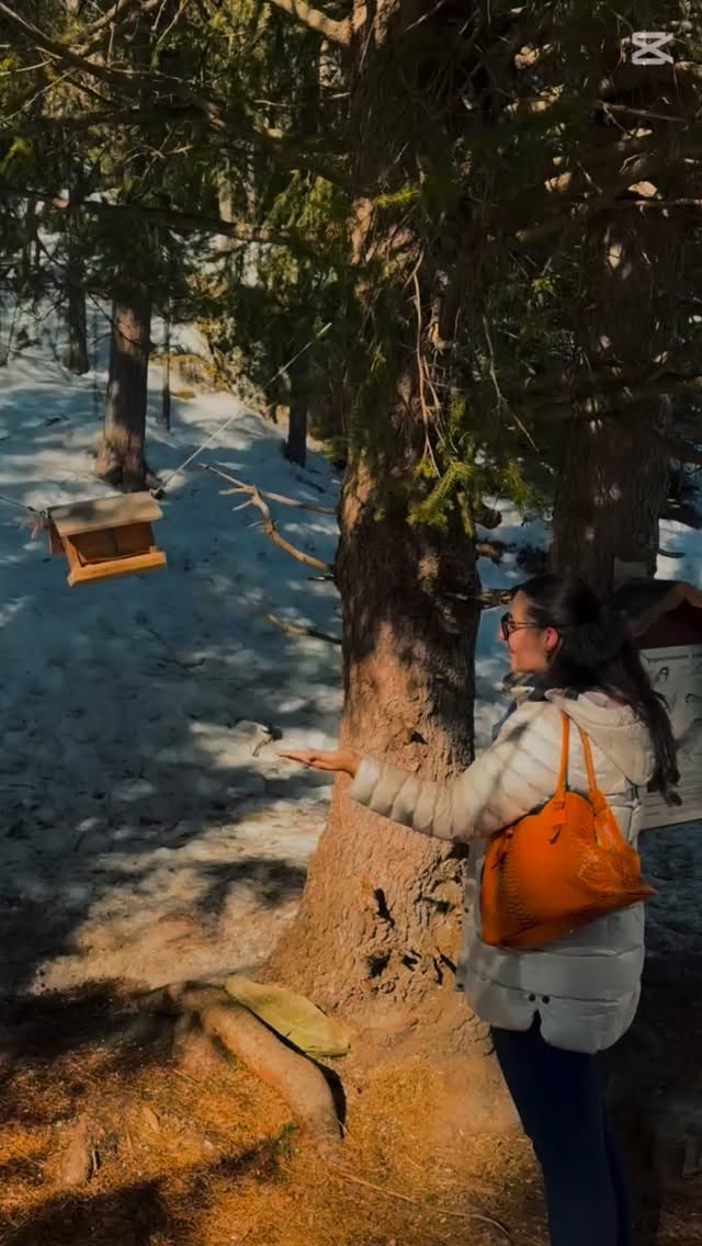 what a year.. ❤️