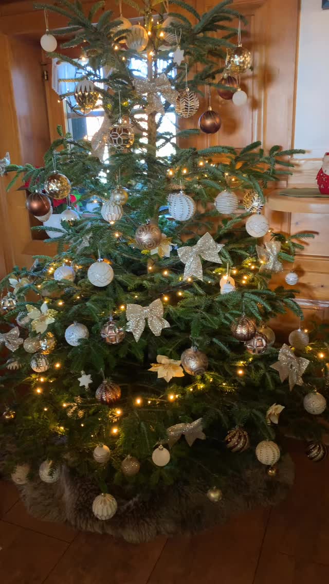 Frohe Weihnachten ✨🎄
Wir wünschen euch eine schöne Weihnachtszeit, erholsame Feiertage
und einen guten Start ins neue Jahr.
Am 27. Dezember sind wir ein letztes Mal in diesem Jahr für euch da.
Danach nehmen wir uns eine kleine Auszeit, um neue Aussichten
für das kommende Jahr zu gewinnen.
Im neuen Jahr freuen wir uns auf ein neues Projekt.
Bleibt gespannt – wir halten euch auf dem Laufenden. 🤗