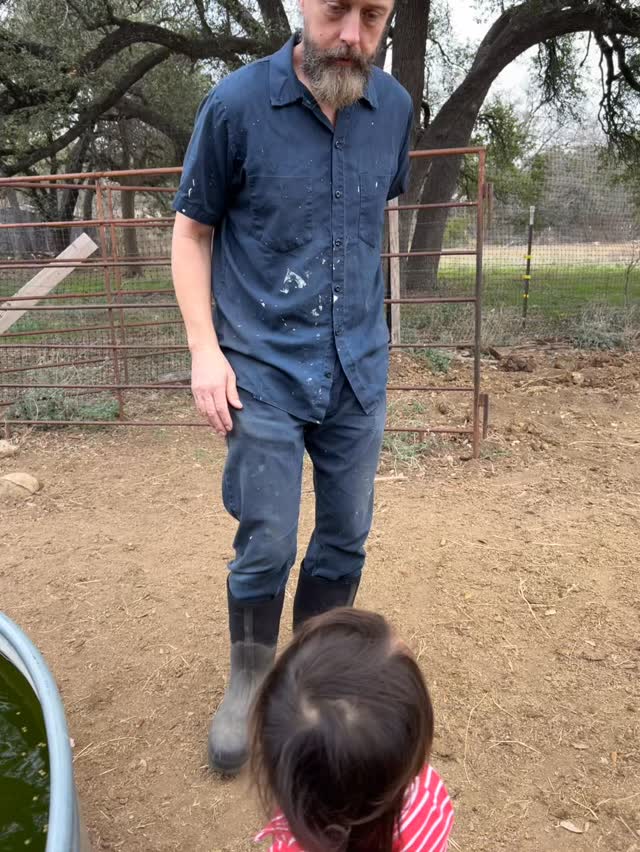 We had traded several of our sheep for Donkey. It took years for us to earn Donkey’s trust but he’s always been gentle with babies. He’s taken to Remi very naturally and bonded with our calf, Buttercup, following her to make sure she was okay when she was separated from the herd