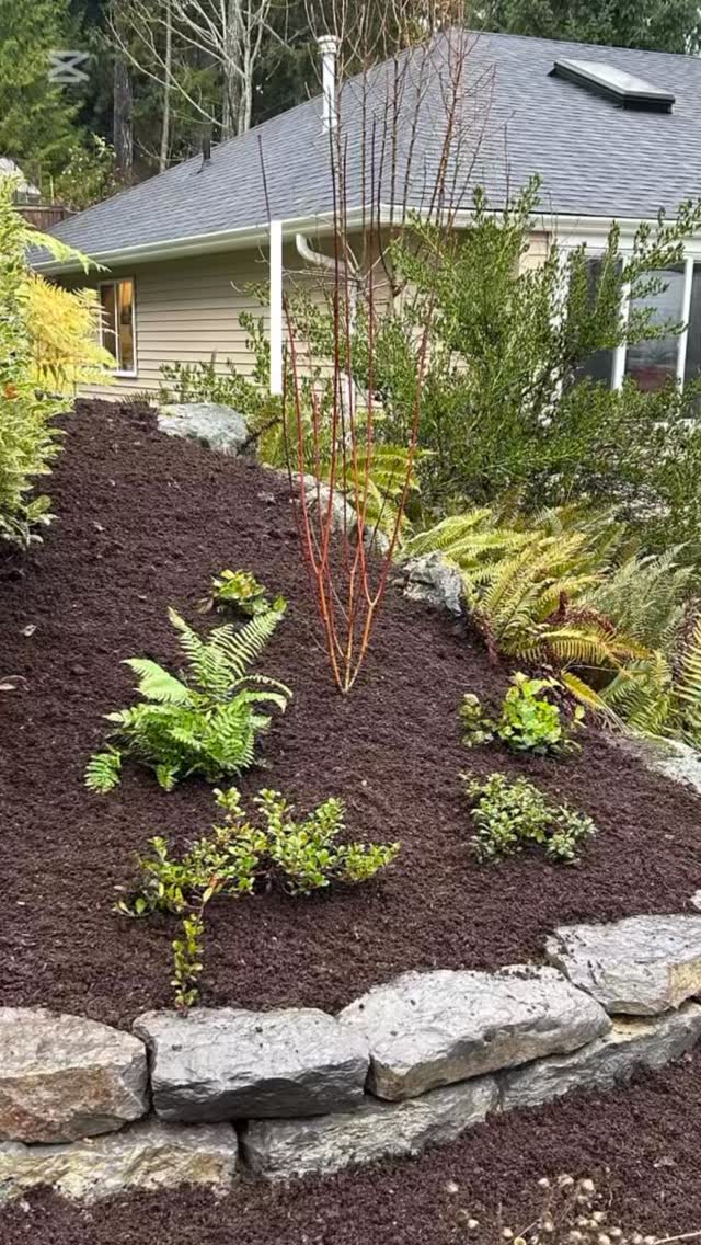 We have solutions for your landscaping problems!
Stones: @sharecostrentalsandsales
Plants: @shop.green.thumb
Compost: @original.seasoil
Slope-stabilizing native plant list:
- Red osier dogwood
- Salal
- Sword fern
- Kinnikinnick