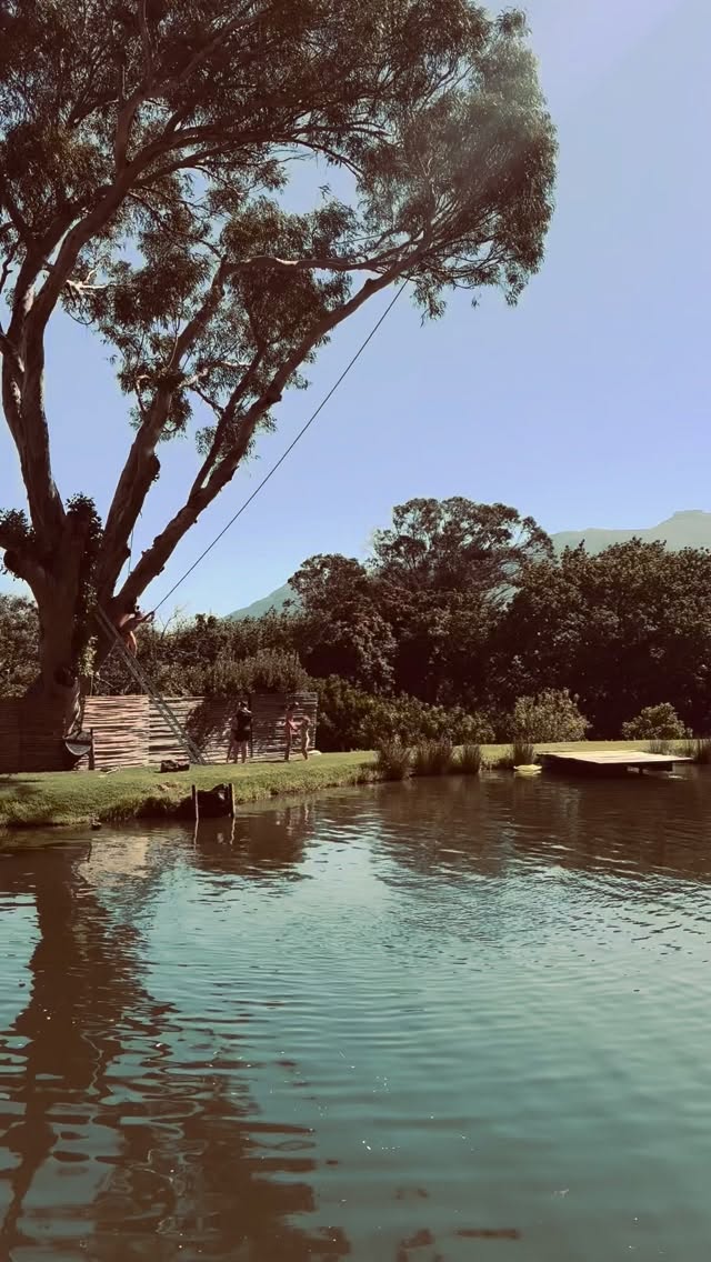 How I’m approaching 2026:
I’m taking lessons from the kids 🤩💦