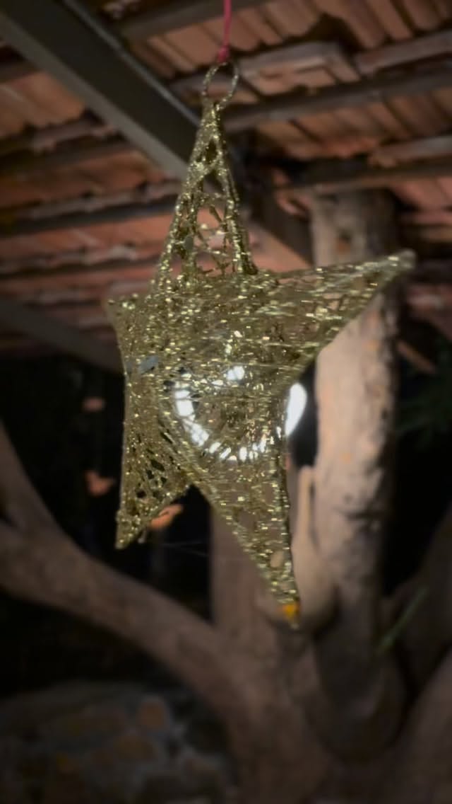 Merry Christmas 🎄
#Merry Christmas