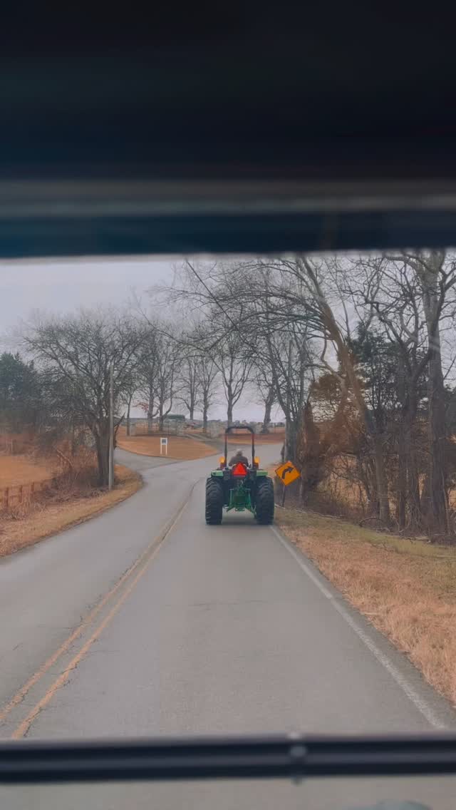 Today we took family pictures, however, not in the way you think! I don’t think green could ever have looked better but today proved wrong! This morning was fun and memorable!
#lasaterhomestead #family #hereford #cattle #babyanimals