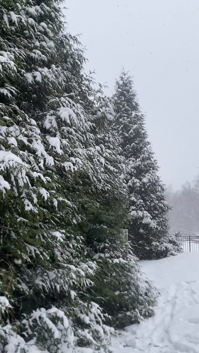 How I like to celebrate the birth of our Lord and Savior Jesus Christ!!!
This is Santa’s Super Bowl for real MERRY CHRISTMAS HAPPY BIRTHDAY JESUS✝️