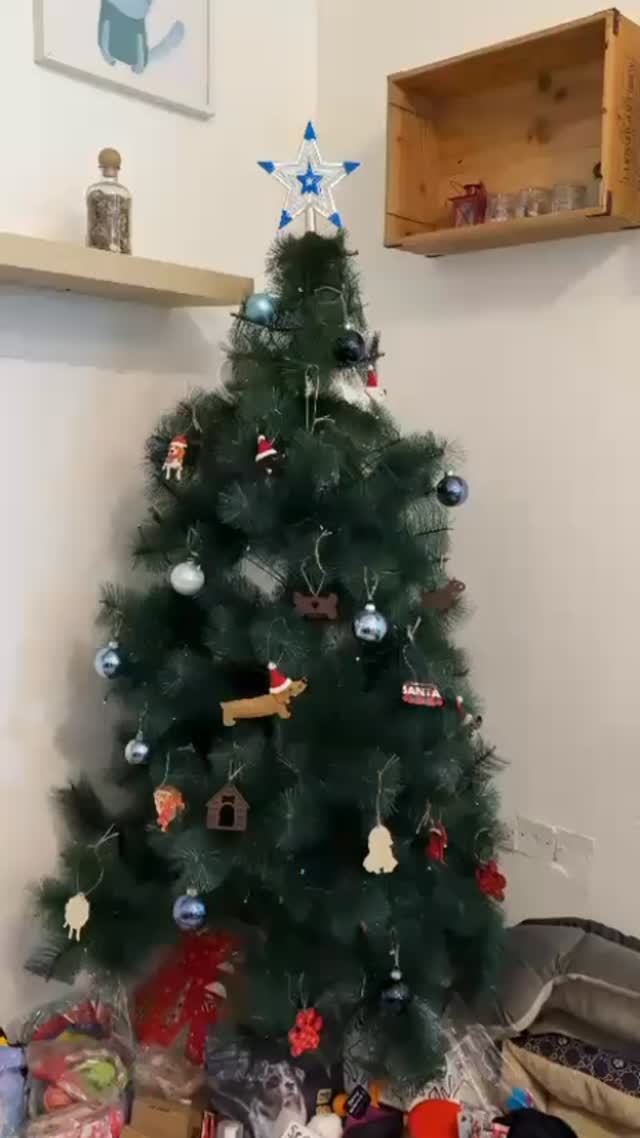 Every year we have a jar and pull out a winner on Christmas 🎄 Day who ends up winning a FREE YEAR of Daycare! This year we decided to do something completely different!
We accepted donations for @bubbles.petsrescue and all donations got an entry into the jar for a year of FREE daycare! Safe to say we had a super successful campaign and are so grateful for all the community support 🩵
#dubaidogs #dogsindubai #dubai #mydubai #dogs nyc hellofromspot boarding grooming welovedogs dogsofdubai dubaidog doggieboarding doggiedaycare doggieboarding dogdaycare dogdays uaedogs dxbdogs everydayawesome adoptdontshop pethealth petnutrition happypup suspect