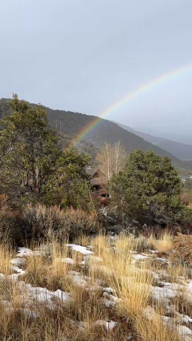 🌈 End of Year Blessing 🌈
As this year gently closes, I offer you a blessing —
not born from striving, but from noticing.
Over these past months, rainbows have appeared again and again —
in the desert, at thresholds, and most recently, right outside my home on Christmas Day.
Each one felt like a quiet reminder:
that showings of grace arrive when we are present enough to receive them.
May this moment meet you exactly where you are.
May what feels heavy soften.
May what feels dry be nourished.
May you trust that you crossed every threshold for a reason.
You are not separate from the blessing.
You are part of how it arrives.
As we step into a new turning of the spiral,
may clarity meet compassion,
may strength meet softness,
and may grace carry you forward — gently, faithfully, and with love.
🌈✨
#EndOfYearBlessing #RainbowMedicine #SacredPause #ShaktiWisdom #divinefemininerising