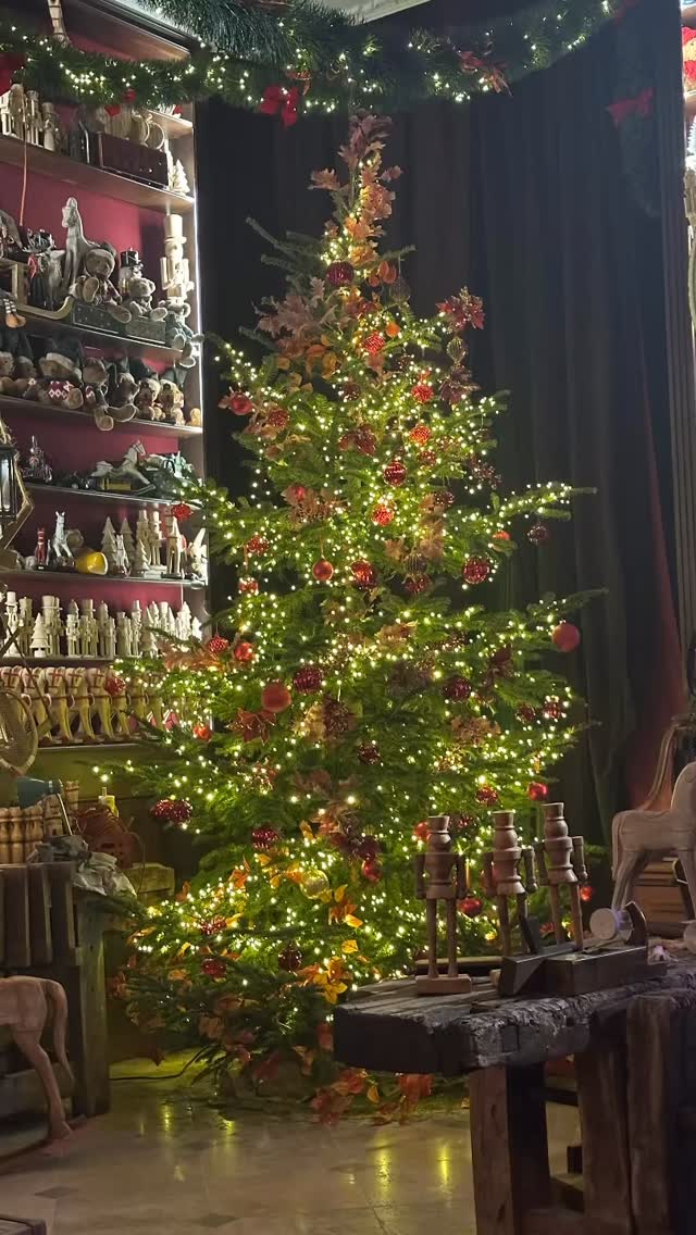 Merry Christmas everyone! 🎄✨😘🎉#merrychristmas