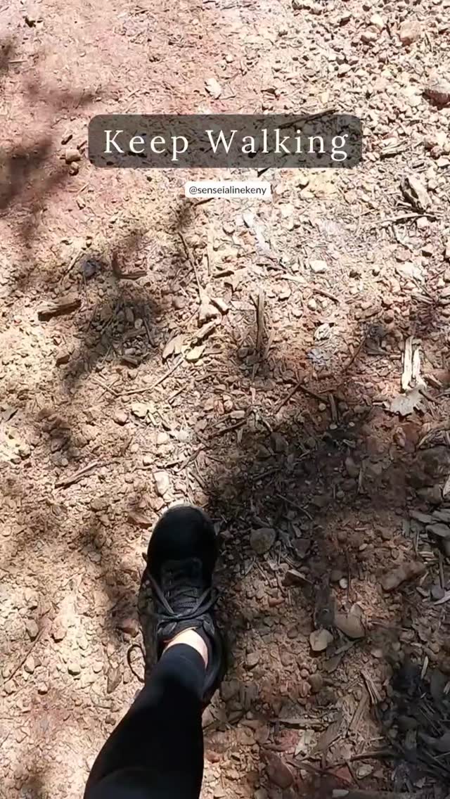 O Parque das Copaíbas é um lugar de paz e que nos reabastece com boas energias. Fica no Lago Sul, entre as Qi 26 e 28, e pertence à Área de Proteção Ambiental do Lago Paranoá. A entrada principal fica na Qi 26, próxima à Paróquia Nossa Senhora do Rosário, na Estrada Parque Dom Bosco. As trilhas são bem sinalizadas e o local funciona das 7h às 18h. A entrada é gratuita. Vale visitar!
Com amor,
Sensei Aline Keny
🙌🏻🍃
Mantra: Tayata Om (Mantra do Buda da Medicina)
Vídeo produzido no Canva
#sintoniayinterapias
#senseialinekeny
#alinekenyterapeuta
#terapiasintegrativas
#passeio
#sugestaodepasseio
#euamobrasilia
#brasilia
#lagoparanoa
#pontejk
#parqueecologico
#parquedascopaibas
#parqueecologicodascopaibas
#parquedistritaldascopaibas
#lagosul
#copaiba
#copaibas
#trilhadascopaibas
#corregodasantas
#antas
#trilha
#trilhando
#keepwalking
#natureza
#naturezando
#sol
#paz
#boasenergias
#caminhe
#respire