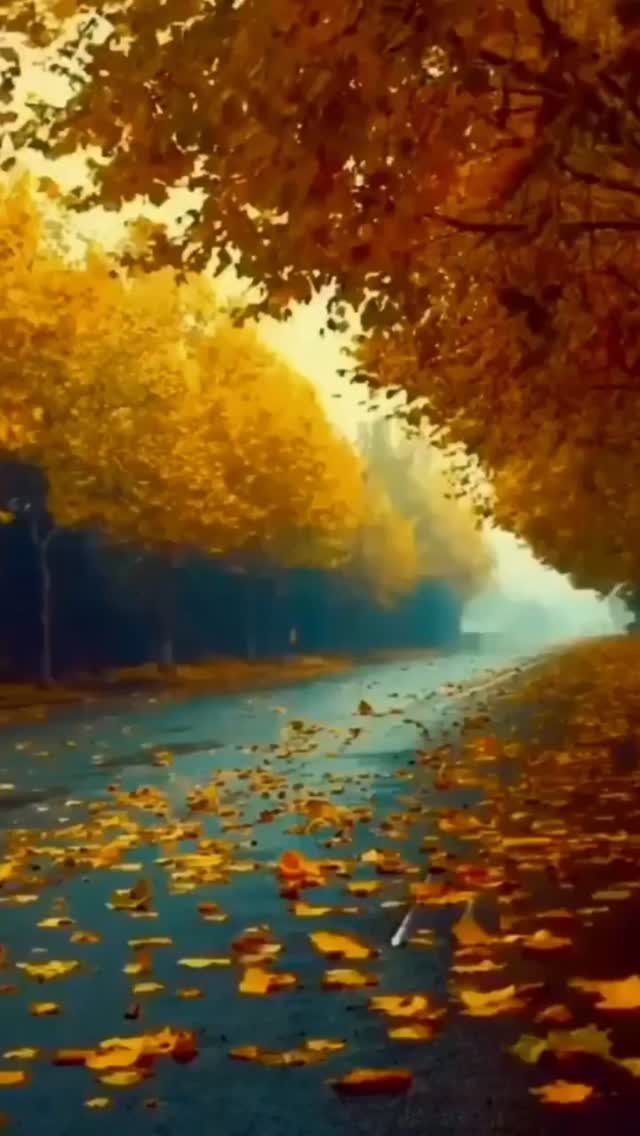 "De onde sair e Onde ficar"
Texto original de @oscarcalixto
🏷 #Reflexões #Pensamentododia #Filosofia #Psicologia #OscarCalixto