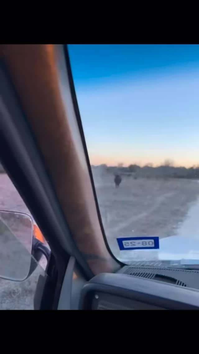 2025 was our biggest and best year yet! We are so thankful for all of you and are looking forward to all of the fun things we get to bring you in 2026!