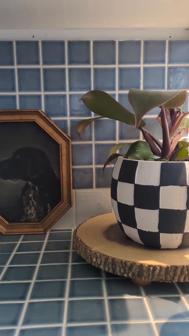 Christmas has come at last, and the celebration of the joy Jesus brings continues forever. Taking a moment to slow down and reflect.
Merry Christmas, friends. ✨