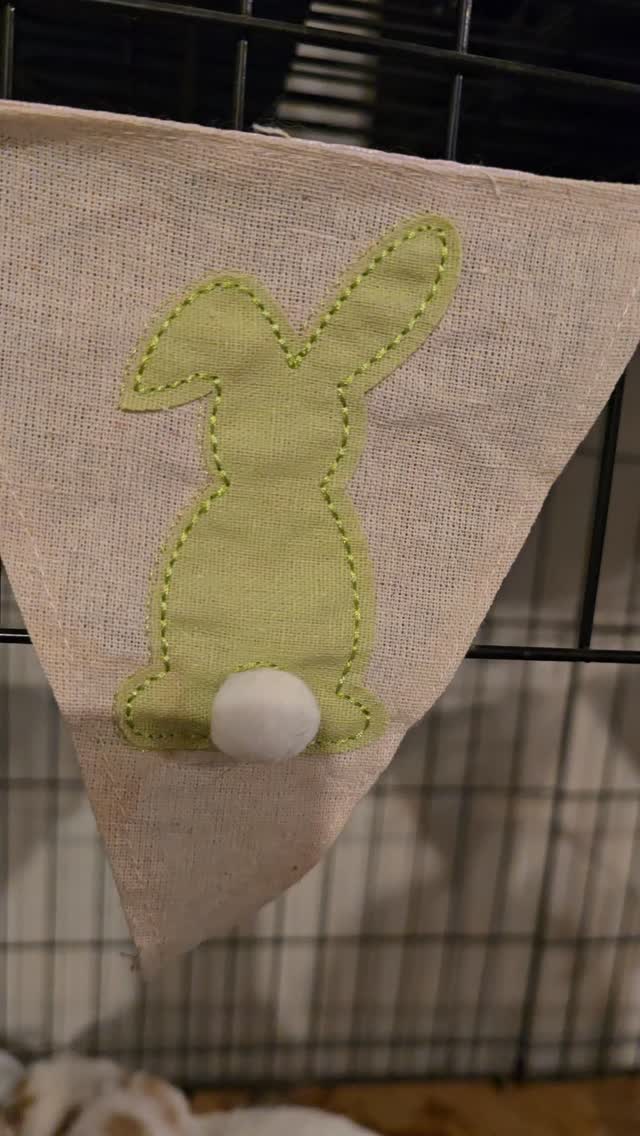 upsss sorry Miso, for interrupting your dinner, but you are soo cute, where is Charlotte? ....
#thecoolbunnysitters #petsitting #bunnysitting #bunnylovers #bunny