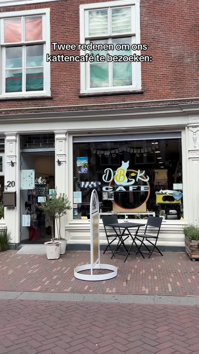 Simpel. Duidelijk. Perfect. ☕🐾
Wanneer kom jij langs?
#kattencafe #alkmaar #miauwmiauw #kattenliefde #cozyvibes
