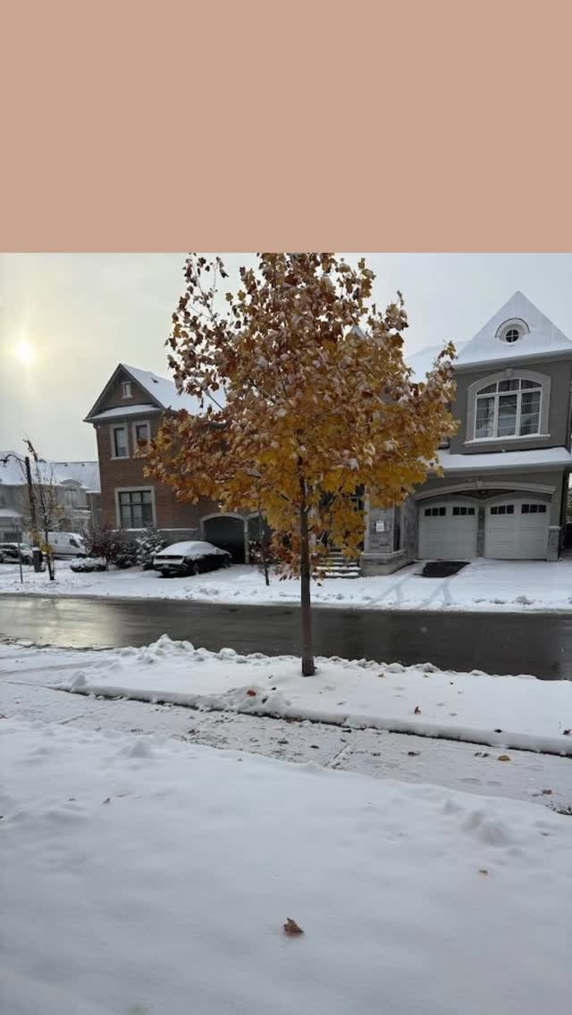 January arrives quietly _ soft mornings, slower days, and moments meant to be savoured.
✨Welcome, January.✨
#sweetmoments
#paodemel
#chocolategifts
#brazilian