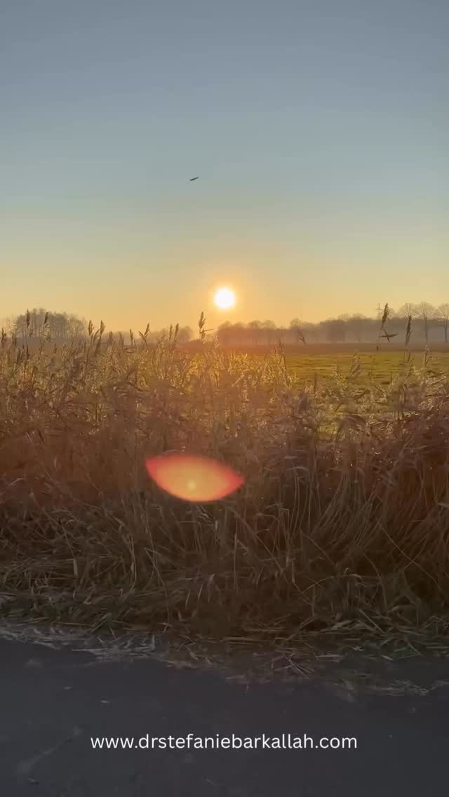 Manchmal brauchen wir keinen Input,
sondern Raum.
Raum zum Nachspüren.
Raum für ehrliche Fragen.
Raum, um innerlich leiser zu werden.
Vielleicht nimmst du dir diesen Moment
zwischen den Feiertagen, ohne Ziel, ohne Druck.
Welche Frage bleibt bei dir hängen? 🤍
Alles Liebe
Steffi🧡
#reflexionszeit #innehalten #achtsamkeit #resilienz