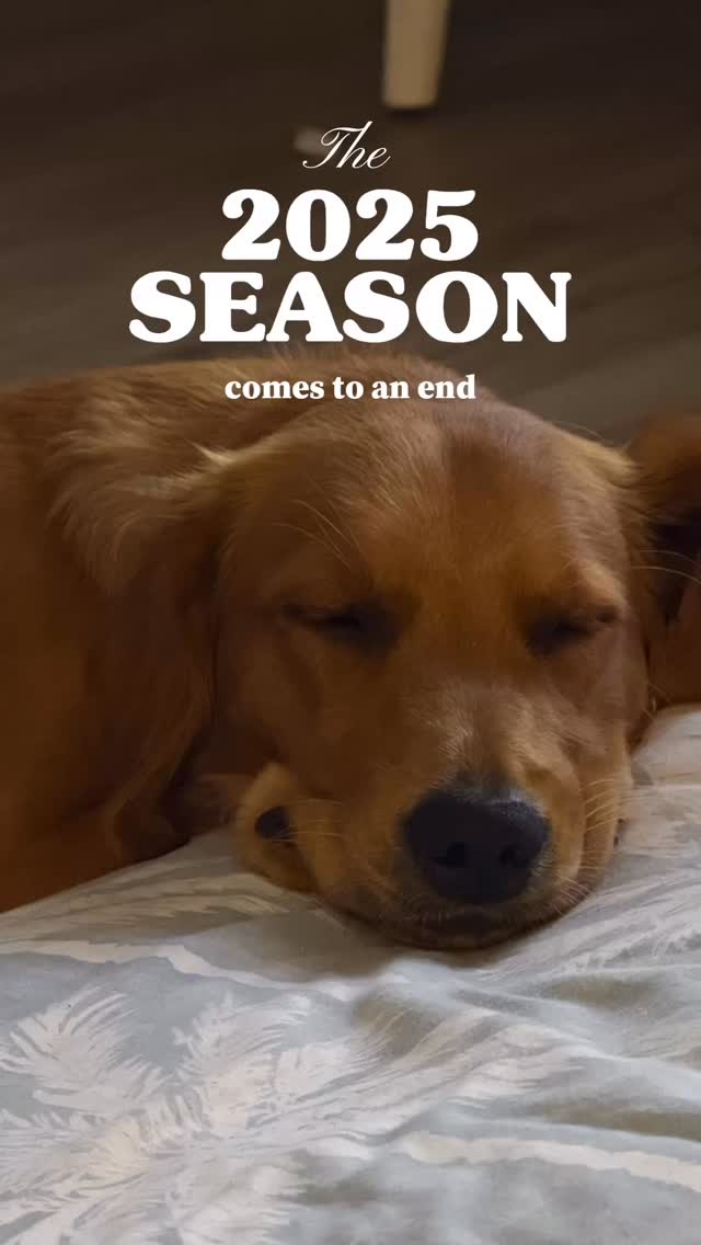 This year didn’t end how I imagined.
My relationship ended, and still, there’s so much to be proud of…
Going full-time in my business. Choosing freedom. Building a life I love.
Two things can be true. Grateful for the lessons, and ready for the next chapter ✨