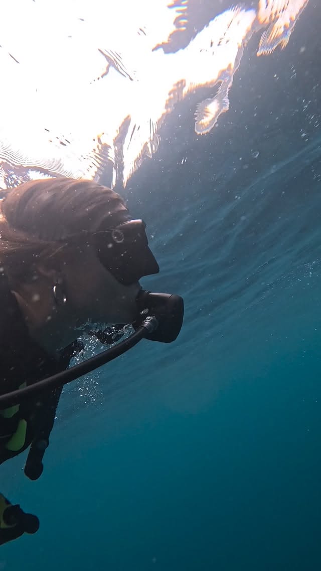 GRACIAS 2025 POR TANTOS TESOROS!
🐋🪸🤍🌀🩵
#divinginstructor #oceanlover #divinggirl #divingretreats #scubadivinglife