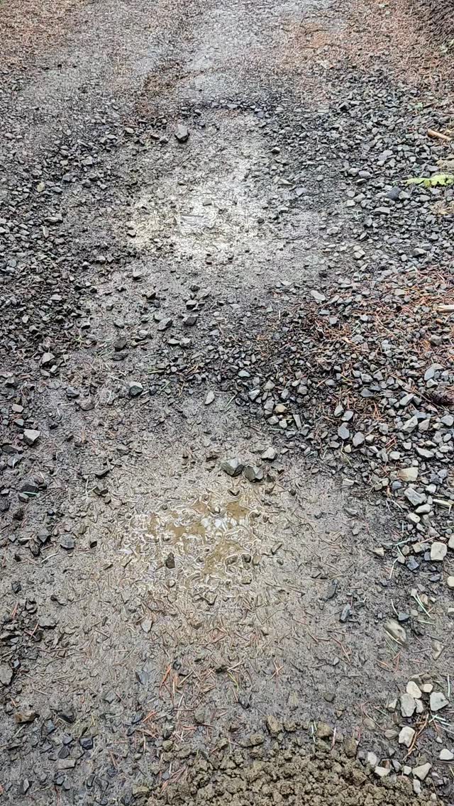 How does Blueprint help you handle loss?
#loss #transition