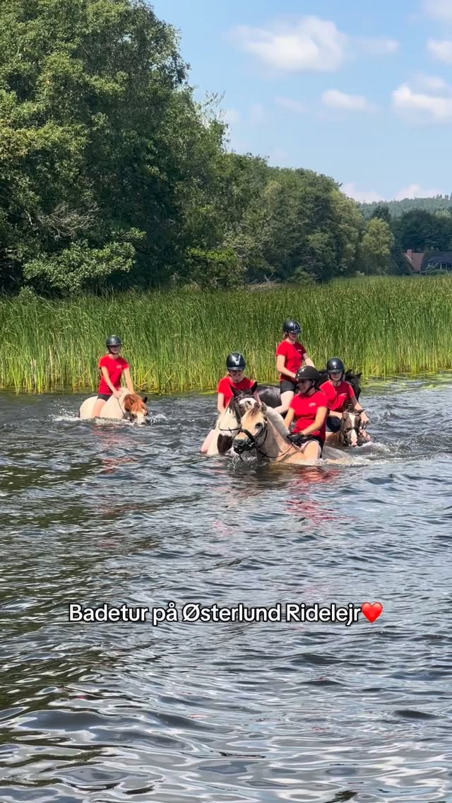 Vi elsker den ugentlige badetur på Østerlund💦🐴 #østerlundridelejr #danmarkssjovesteridelejr