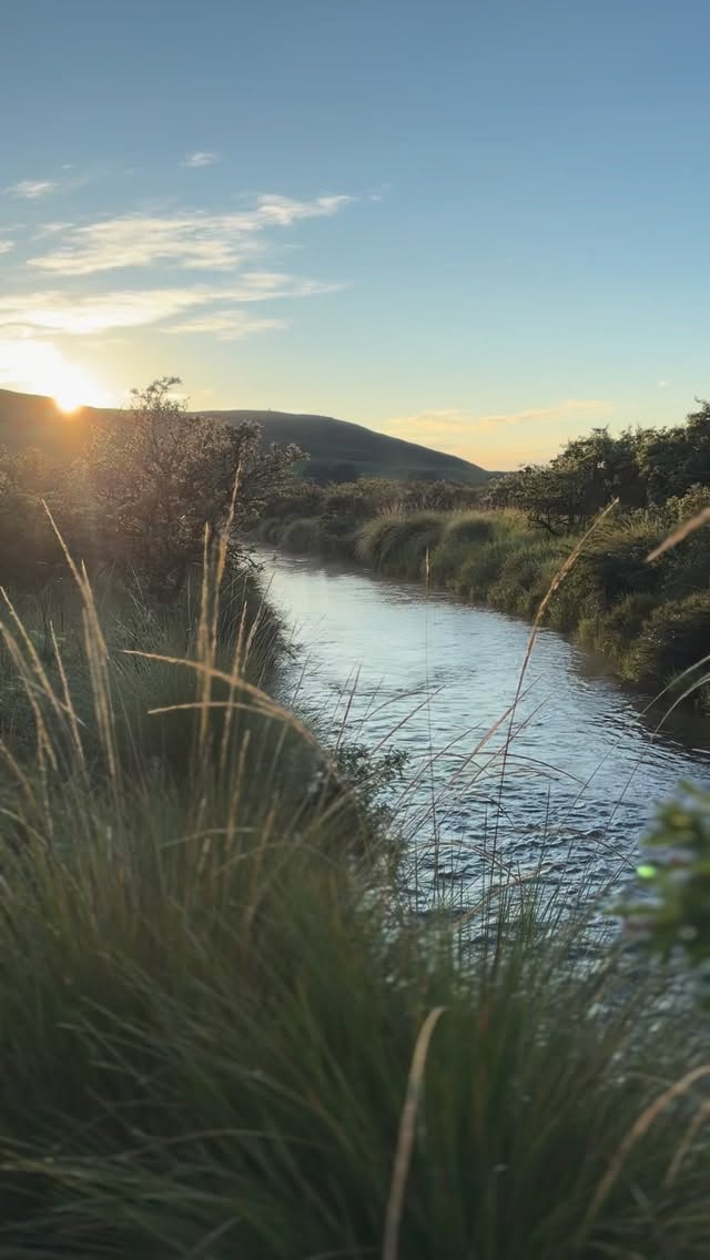 Some places steal your breath with their beauty.
In a world that’s getting louder, places like this are rare.
Giants Cup Wilderness Reserve 🤍
#nature #drakensberg #naturelovers #drakensbergmountains #beautifuldestinations #getaway #beautifulplaces #goplaces #beautifulsouthafrica #weekendgetaway