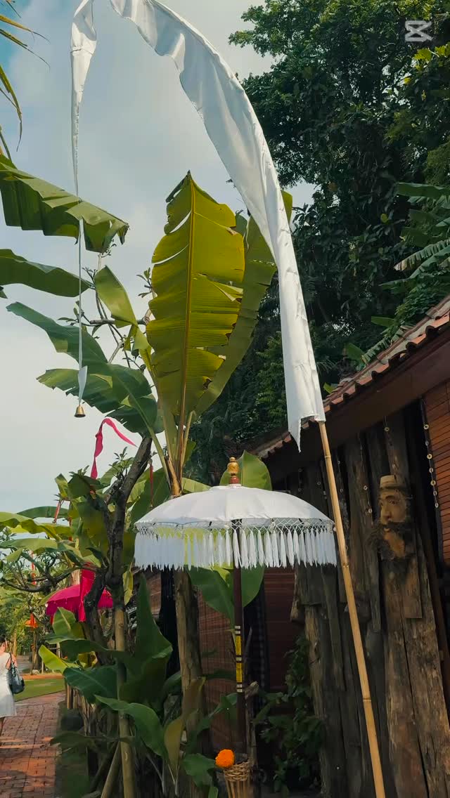 This day felt sacred at @griya_bejiwaterfall .
Like closing a book I didn’t even realise I was still writing.
It began with a private past life healing.
The room was still, and I could feel it —
the dead weight I’d been carrying for years, just starting to shed.
Old fear. Old loyalty. Old stories that were never really mine.
I could literally feel space opening in my body.
Then came the Melukat.
Incense in the air.
Flowers everywhere.
The priest chanting in a language my mind didn’t understand,
but my soul did.
When the water touched my crown,
it felt like nine years of living
poured right through me -
the lessons, the heartbreaks, the becoming -
all flowing back into the earth.
At the waterfall, everything went loud.
The sound. The wind. The energy.
And I just knew what to do.
I screamed.
All of it.
Out.
Not from pain.
From release.
From truth.
From that deep part of me that finally knew it was done.
I thanked the gods and goddesses of Bali -
the ones I know, and the ones who’ve been walking beside me quietly all this time.
Then came the silence.
Not the kind that’s empty, the kind that hums.
The kind that feels like peace.
Nine years complete.
Cycle closed.
And now, standing on the edge of a new year, I can finally feel space again.
Tomorrow is 2026.
Year One.
The clean start.
No resolutions.
No pushing.
Just an open heart,
clear energy,
and deep gratitude
for every single thing that brought me here.
#silksagesolutions #bali #melukat #newyear2026 #rebirth