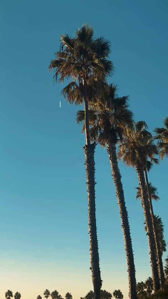 As this year comes to an end, we’re feeling incredibly grateful. 🖤
For our team, our regulars, the first-timers who became favorites, and every bite shared around our tables — thank you for being part of the Copper Kings story.
Here’s to fresh food, big dreams, and even bigger things ahead. 🖤🔥
📍Copper Kings Burgers | North County, San Diego
.
.
.
.
.
.
#CopperKingsBurgers #BestBurgers #GourmetBurgers #JuicyBurgers