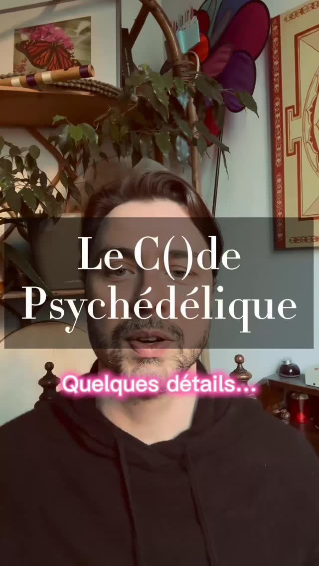 Infos supplémentaires sur le contenu du livre « le code psychédélique »…. Comment vivre naturellement les différentes molécules sans les prendre ?
Endorphines, gaba, dopamine, dmt… et tous les psychédéliques / psychoactifs que je ne mentionnerai pas ici. Lien pour se procurer le livre dans la bio. Merci pour votre contribution, c’est un bon moyen de me soutenir en revcevant un livre hypno-immersif en retour bien sûr ;) #autohypnose #conscience #neurotransmetteurs