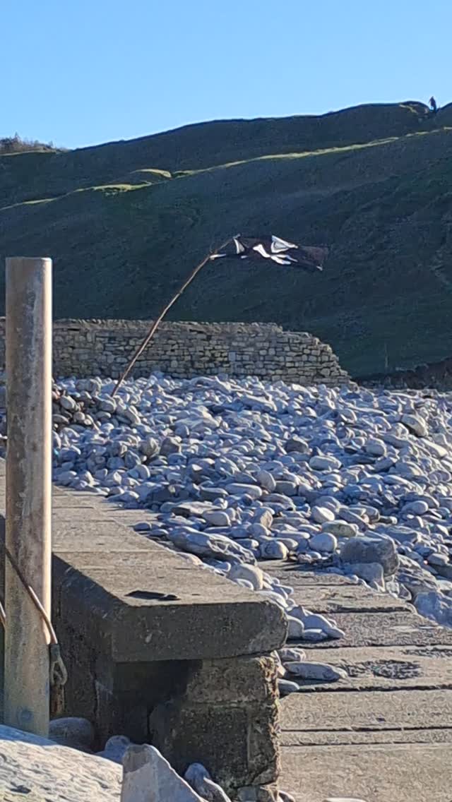 Pirate camp at Southerndown. Bright windy yesterday morning. #valeofglamorgan #Southerndown #paintingonaluminium #juliabrooker