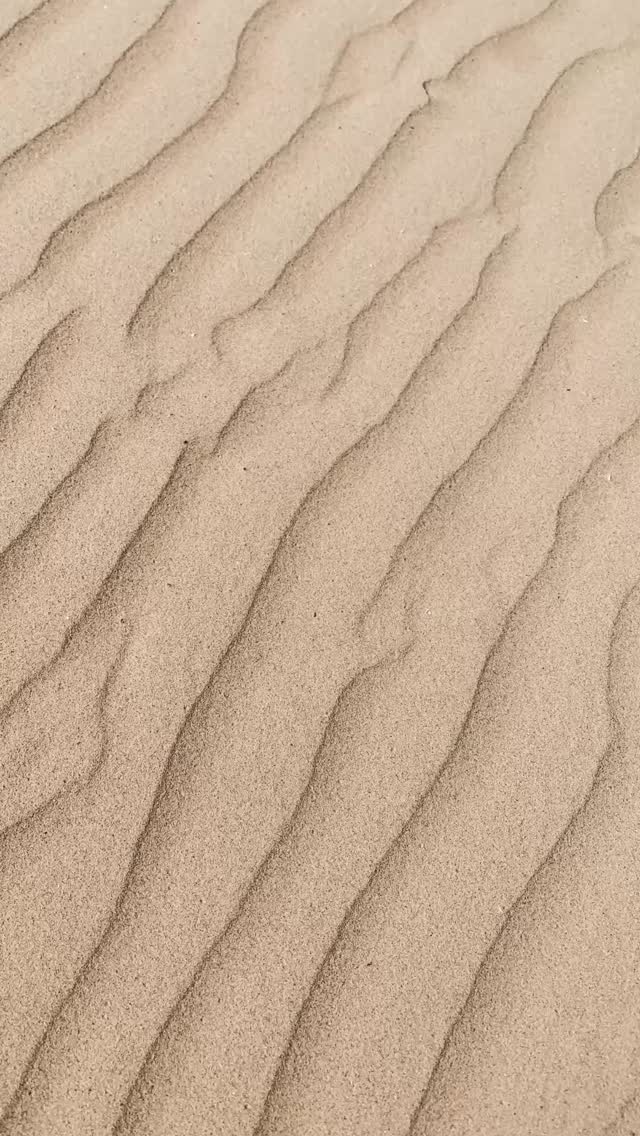 In januari wil ik je graag iets teruggeven.
Een moment om te landen.
Om even niets te hoeven.
En om het nieuwe jaar niet te beginnen vanuit haast of verwachtingen,
maar vanuit zorg voor jezelf 🌸
Dit Relax Ritueel is er om in januari te starten met goede voornemens,
vooral op het gebied van self-care.
Jezelf de rust gunnen die er mag zijn.
Na alle drukte een moment waarin je mag ontspannen,
ontladen
en weer thuiskomen in je lichaam 🌙
Daarom bied ik in januari de Relax Treatment aan:
60 minuten | €49,-
Een zachte, volledige ontspanningsbehandeling
waarin je lichaam mag zakken
en je zintuigen tot rust mogen komen 💆♀️
Tijdens de behandeling neem ik je mee in een geurbeleving
die dit ritueel verdiept en je uitnodigt om nog verder los te laten ✨
De behandeling bestaat uit:
– Gezicht-, décolleté- en hoofdhuidmassage
– Een warme, subtiele geurbeleving
– Een verzorgende paraffine handpakking 👐
– Een aardende edelsteen-voetmassage 🦶
Beleef dit ritueel.
Beleef deze Relax Treatment
en laat je verrassen 💛
Deze behandeling is tijdelijk en exclusief beschikbaar in januari,
als dank aan jou 🌿
Boeken kan via de gebruikelijke weg, telefonisch of via mijn boekingssysteem online 📲
Liefs,
Marlie
Marlie Holistic Beauty Therapy