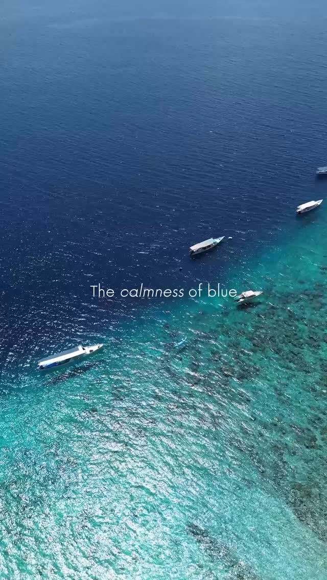 When everything around you is naturally blue,
your mind slows down too.
KOHO Air kind of calm. 🧘🧘♂️