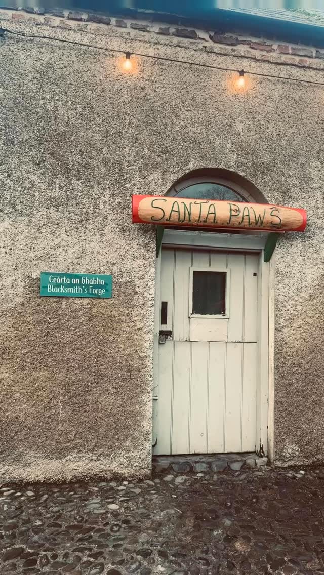 Santa Paws 2025 🐾🎅
#oldtymebulldog #santapaws