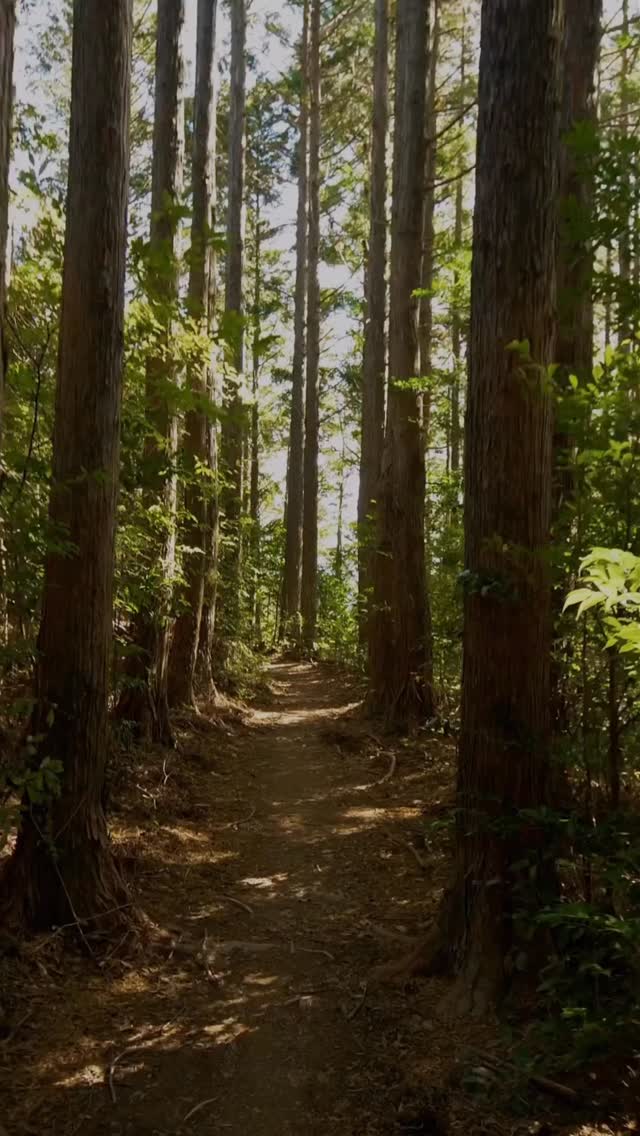 ✨ Die Zukunft hängt davon ab, was wir heute tun.
(Mahatma Gandhi)
🙏 Dieses Reel ist ein großes Dankeschön,
an die Unternehmen 🏢 (@schluetermodellcenter @zum_deutschen_hause @fahrschulekloss @frerichsreifenundautozentrum @fzz.hatten @friseurluther @hoerwerkerei @cs_energiesysteme_gmbh @zum_pfefferkorn @dingstederkrug @schuhhausknipper @haar.krug @limoncello_sandkrug @automoennich @s_c_h_o_e_n_es_aus_holz @zimmerei_koehrmann @barkenhofbackstube @fm_brautmode @horst_brumund Holtrup und Gaststätte Ton Klönsnack) die Vereine 🤝(ESHV, Sing‘n‘ Swing, evangelische freie Gemeinde Sandkrug, für Prävention, Therapie, Bewegung und Gesundheit e. V) und der WLO (Wirtschaftsförderung LK Oldenburg - @wlo_mbh ), die HATTENhat. unterstützt, begleitet und an diese Idee geglaubt haben.
Euer Engagement, euer Vertrauen und unsere Zusammenarbeit machen den Unterschied – heute und in der Zukunft.
🚀 Mit großer Dankbarkeit blicken wir nach vorn
und wünschen euch allen ein erfolgreiches, mutiges und gemeinsames Jahr 2026 ✨
💬 Vielen Dank. Eine Frau, ein Wort!
Marisol von HATTENhat.
www.hattenhat.de
#hattenhat #danke#unternehmen #vereine #gemeinschaft #zukunftgestalten #gemeindehatten #2026
