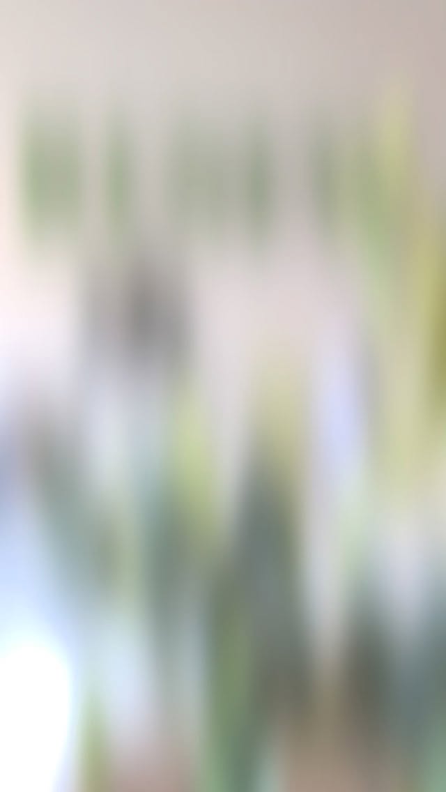 Luxury for your scalp. Calm for your mind.
Experience the art of Japanese Head Spa 🤍✨
#JapaneseHeadSpa #SelfCareRitual #ScalpCare #RelaxTok #SpaDay