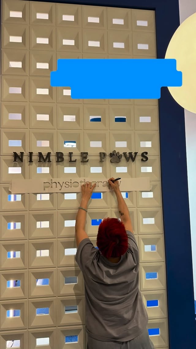 A year, month by month.
From a clinic under renovation to dogs moving with more confidence and ease ā this year reminded us of a few important things.
That movement tells a story, even when dogs and cats canāt.
That progress is often quiet, but deeply meaningful.
That structured assessments matter.
And that rehabilitation works best when owners are part of the process.
Weāre deeply thankful for every client who believed in what we do,
and trusted the process, even when slowing down was part of the work.
Hereās to more pets moving better ā
with care behind every step.
Movement matters.
#nimblepawspet #movementmatters #dogphysio #nimblepaws