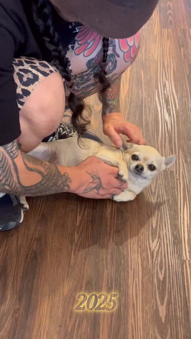 And that’s 2025 done 🖤
A huge thank you to everyone that got tattooed, to all the guest artists that came through and of course to our amazing crew. We are lucky to have such legends here @chapeltattoo
For bookings:
Call ☎️ 03 9521 1202
Email 📧 info@chapeltattoo.com
.
.
.
.
#blackandgreytattoo #colourtattoo #finelinetattoo
#chapeltattoo #melbourne