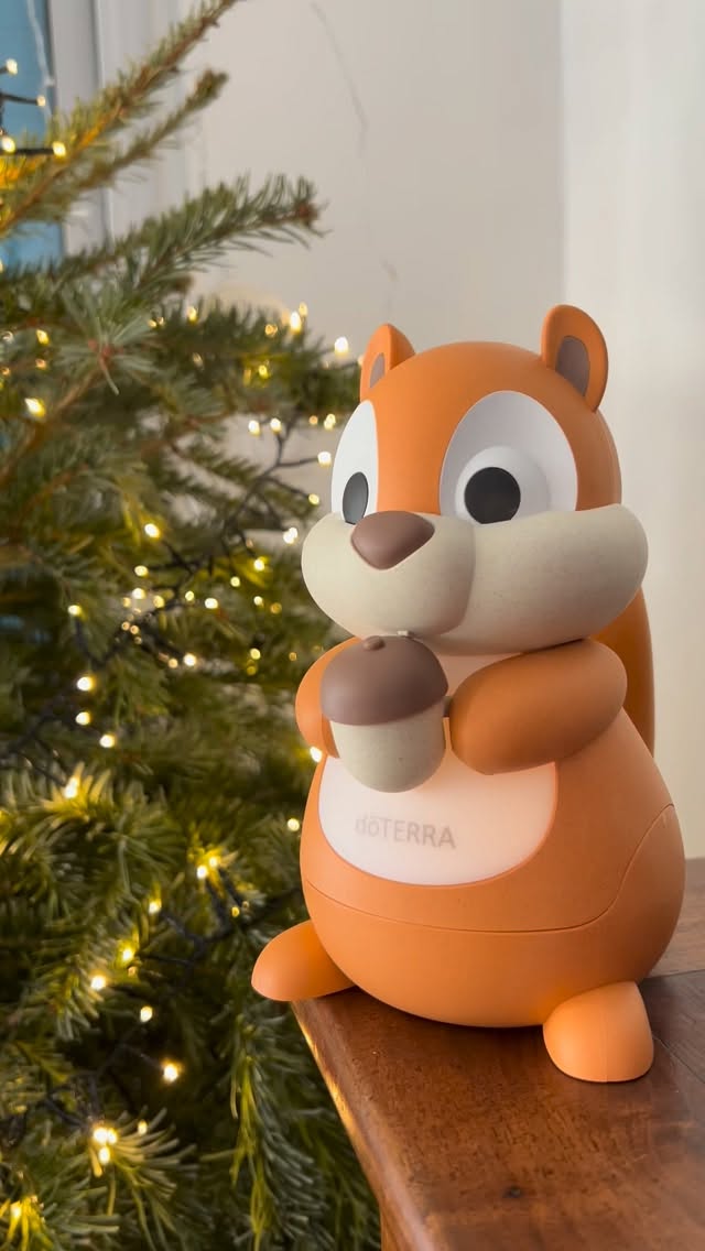 Un joli petit écureuil était sous le sapin pour Noël. Un diffuseur d’huiles essentielles avec une veilleuse et une jolie musique (ou bruits de la nature). On a diffusé bergamote et orange, le choix d’Angéline 🥰
Un diffuseur et des huiles essentielles @doterra_france •
•
•
•
#huilesessentielles #dōterra #thebloomjournal #healthy #huilesessentiellespures #essentialoils