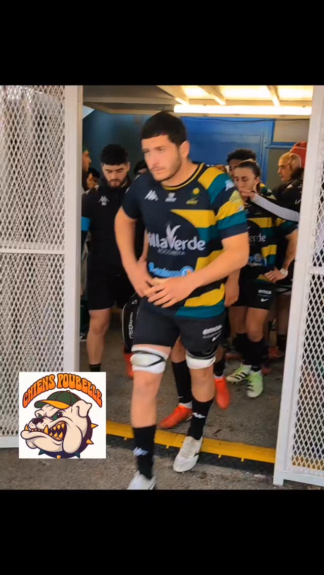 Les chiens poubelle #rugby #kiff #délires