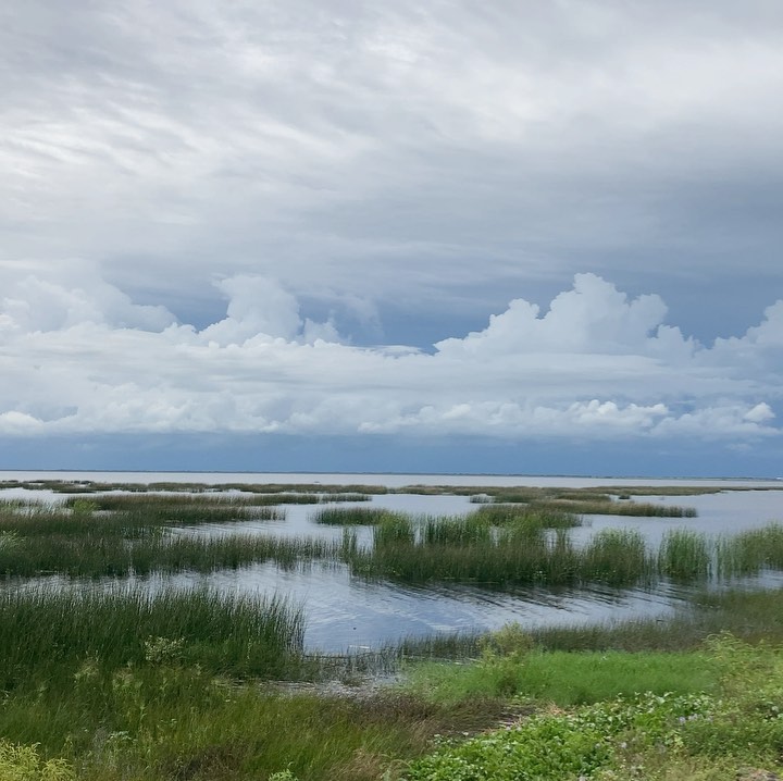 Today, Jennifer filmed impressive earthworks for our @evergladesnps Restoration film. The new C-44 Reservoir will fill with water soon from Lake Okeechobee. Wetland plants in the connected Stormwater Treatment Area will clean the stored water before release into the St Lucie estuary. Job well done by @sfwmd_gov and @usacehq