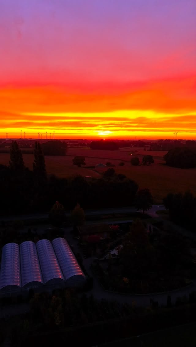 Und damit verabschieden wir das Jahr 2025.
Danke an Alle und einen guten Rutsch 💫🚀
#baumschulenterbrack #garten #recap